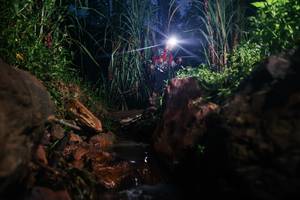 BIB: 
                            <button type="button" onclick="openModal(26416734)" class="btn btn-primary btn-sm float-right btn-popup" data-toggle="modal" data-target=".modal-high-quality">
                        <i class="fas fa-shopping-cart"></i> Add to Cart
                    </button>
                                            <button type="button" onclick="isThisMe(26416734, true)" class="btn btn-success btn-sm float-right btn-popup btn-isme hidden" data-toggle="tooltip" data-placement="bottom" title="นี่คือรูปของคุณใช่ไหม คลิกที่นี่เพื่อเอาเข้าอัลบั้ม">
                        <i class="fas fa-plus"></i> Add to album
                    </button>
                    <button type="button" onclick="isThisMe(26416734, false)" class="btn btn-warning btn-sm float-right btn-popup btn-isnotme hidden">
                        <i class="fas fa-ban"></i> Remove from album
                    </button>